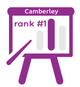 Camberley SEO Services Example Raking Image